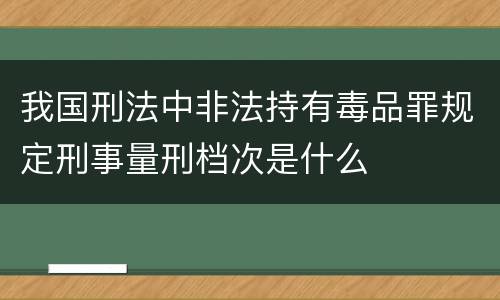 我国刑法中非法持有毒品罪规定刑事量刑档次是什么