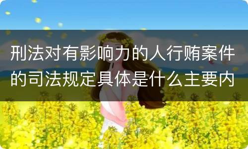 刑法对有影响力的人行贿案件的司法规定具体是什么主要内容
