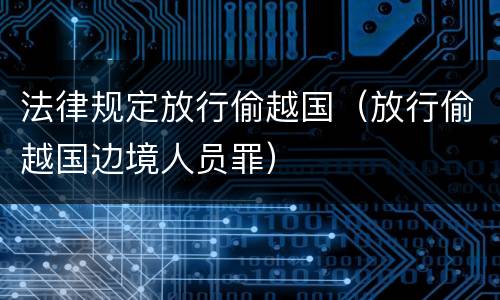 法律规定放行偷越国（放行偷越国边境人员罪）