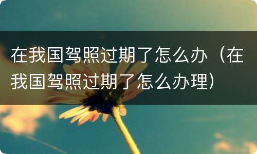 在我国驾照过期了怎么办（在我国驾照过期了怎么办理）