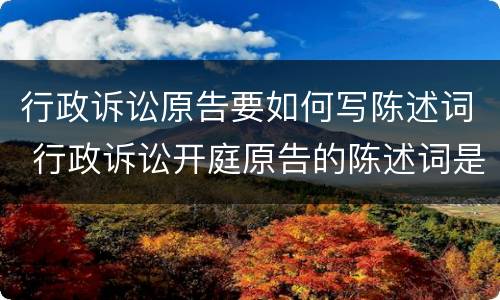 行政诉讼原告要如何写陈述词 行政诉讼开庭原告的陈述词是怎样写的