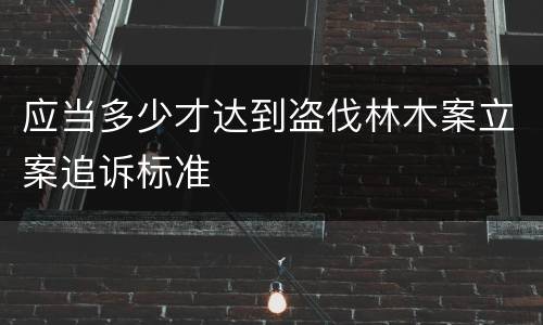 应当多少才达到盗伐林木案立案追诉标准