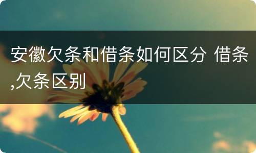 安徽欠条和借条如何区分 借条,欠条区别