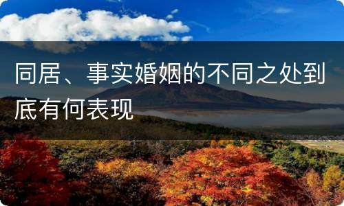 同居、事实婚姻的不同之处到底有何表现