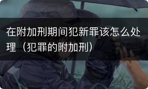 在附加刑期间犯新罪该怎么处理（犯罪的附加刑）