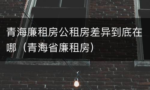 青海廉租房公租房差异到底在哪（青海省廉租房）