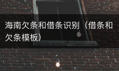 海南欠条和借条识别（借条和欠条模板）