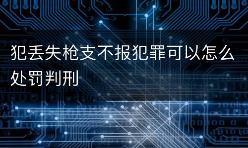犯丢失枪支不报犯罪可以怎么处罚判刑