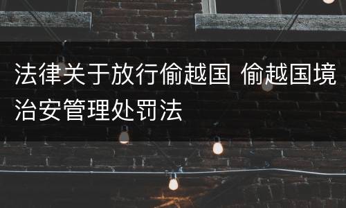 法律关于放行偷越国 偷越国境治安管理处罚法