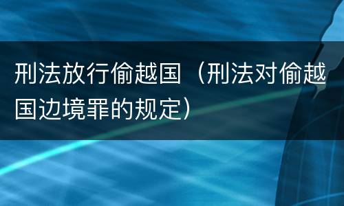 刑法放行偷越国（刑法对偷越国边境罪的规定）
