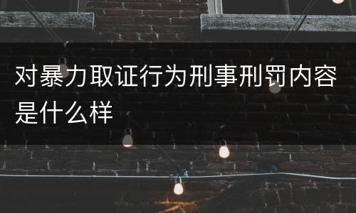 对暴力取证行为刑事刑罚内容是什么样