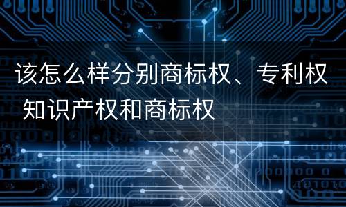 该怎么样分别商标权、专利权 知识产权和商标权