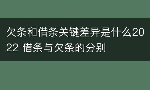 欠条和借条关键差异是什么2022 借条与欠条的分别