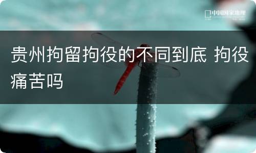 贵州拘留拘役的不同到底 拘役痛苦吗