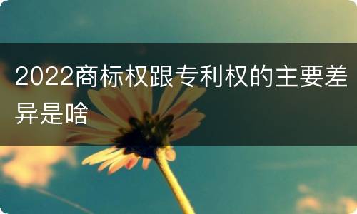 2022商标权跟专利权的主要差异是啥