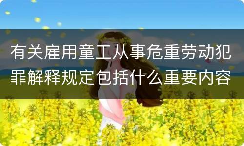 有关雇用童工从事危重劳动犯罪解释规定包括什么重要内容