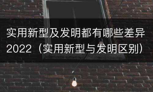 实用新型及发明都有哪些差异2022（实用新型与发明区别）