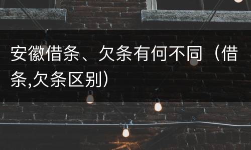 安徽借条、欠条有何不同（借条,欠条区别）