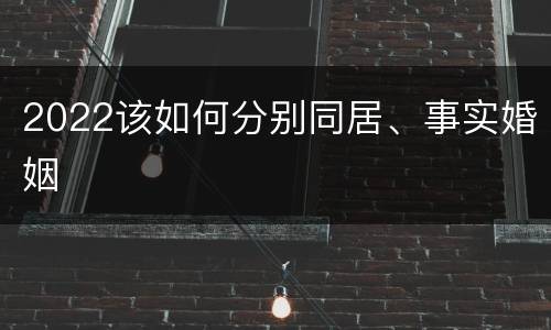 2022该如何分别同居、事实婚姻