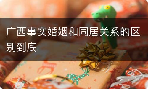 广西事实婚姻和同居关系的区别到底