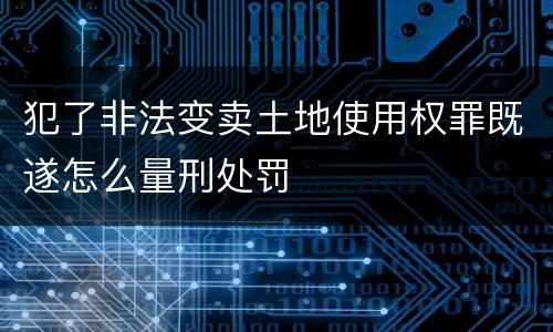 犯了非法变卖土地使用权罪既遂怎么量刑处罚