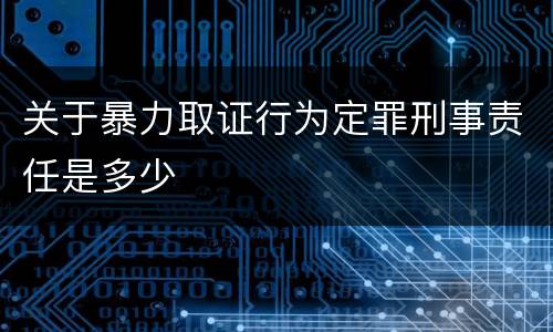 关于暴力取证行为定罪刑事责任是多少