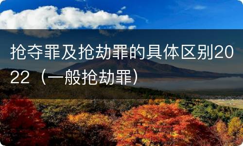 抢夺罪及抢劫罪的具体区别2022（一般抢劫罪）