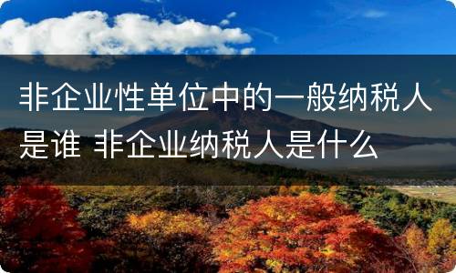 非企业性单位中的一般纳税人是谁 非企业纳税人是什么