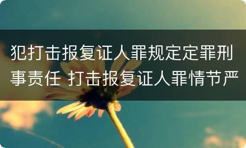 犯打击报复证人罪规定定罪刑事责任 打击报复证人罪情节严重