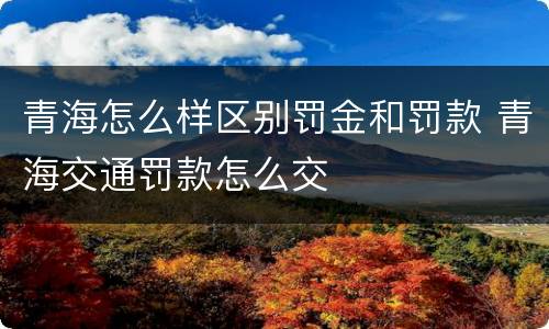 青海怎么样区别罚金和罚款 青海交通罚款怎么交
