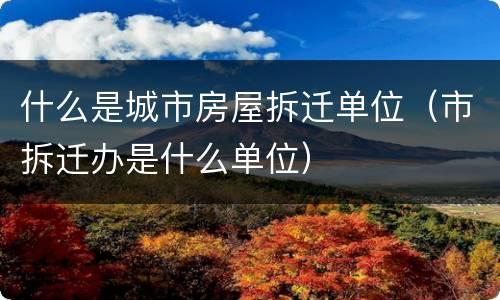 什么是城市房屋拆迁单位（市拆迁办是什么单位）