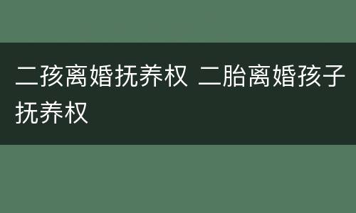 二孩离婚抚养权 二胎离婚孩子抚养权