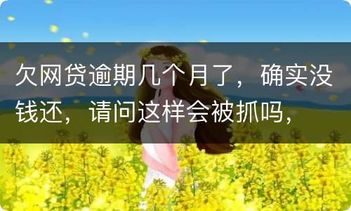 欠网贷逾期几个月了，确实没钱还，请问这样会被抓吗，