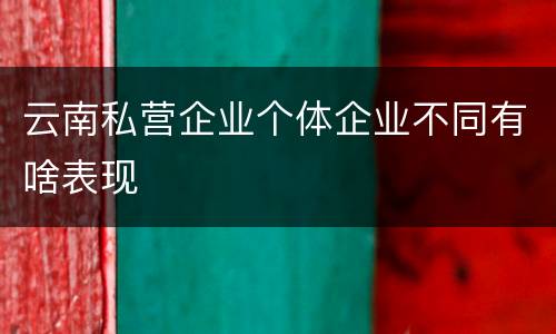 云南私营企业个体企业不同有啥表现