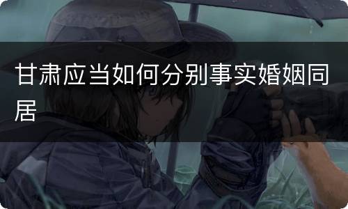 甘肃应当如何分别事实婚姻同居