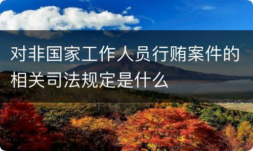 对非国家工作人员行贿案件的相关司法规定是什么