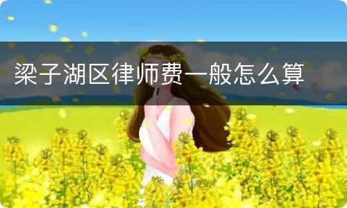 梁子湖区律师费一般怎么算