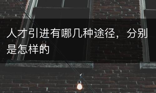 人才引进有哪几种途径，分别是怎样的