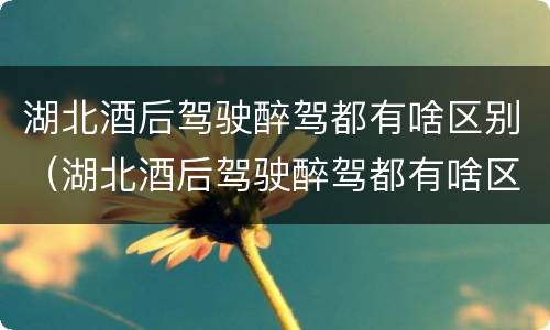 湖北酒后驾驶醉驾都有啥区别（湖北酒后驾驶醉驾都有啥区别呢）