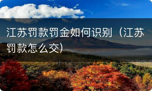 江苏罚款罚金如何识别（江苏罚款怎么交）