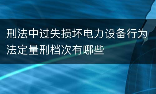 刑法中过失损坏电力设备行为法定量刑档次有哪些