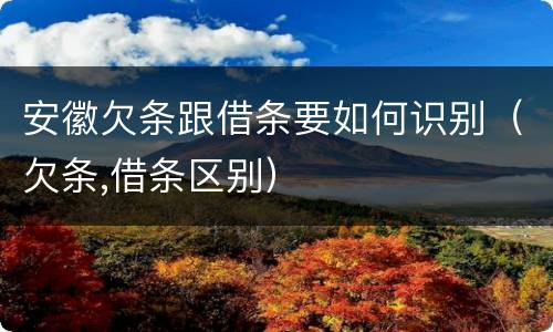 安徽欠条跟借条要如何识别（欠条,借条区别）