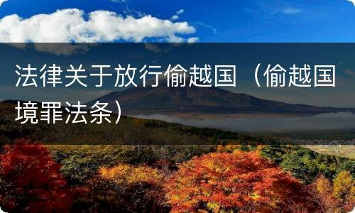 法律关于放行偷越国（偷越国境罪法条）
