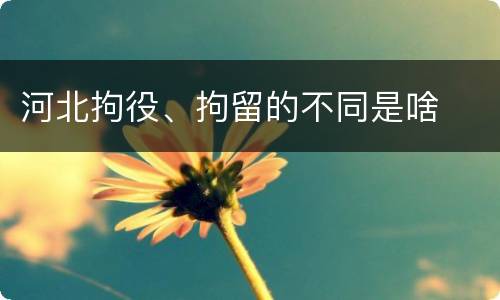 河北拘役、拘留的不同是啥