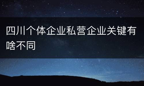 四川个体企业私营企业关键有啥不同