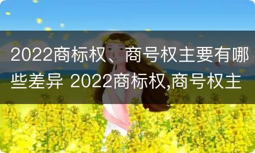 2022商标权、商号权主要有哪些差异 2022商标权,商号权主要有哪些差异和不同