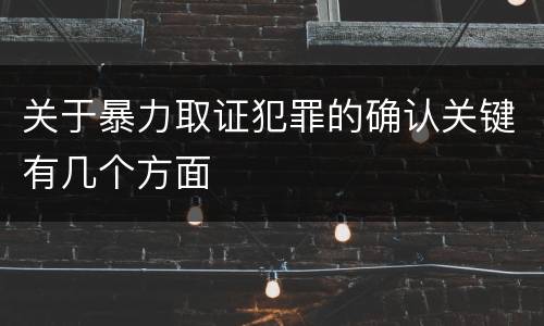 关于暴力取证犯罪的确认关键有几个方面