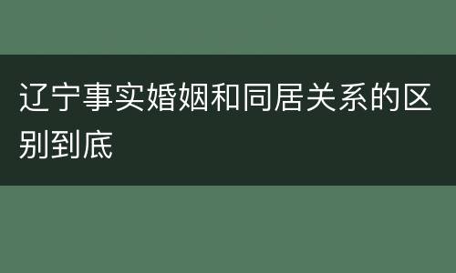 辽宁事实婚姻和同居关系的区别到底