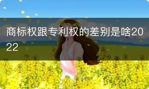 商标权跟专利权的差别是啥2022