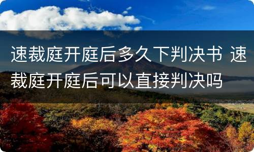 速裁庭开庭后多久下判决书 速裁庭开庭后可以直接判决吗